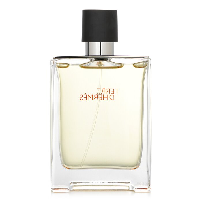 Terre d'Hermes Eau De Toilette Spray