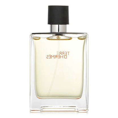 Terre d'Hermes Eau De Toilette Spray