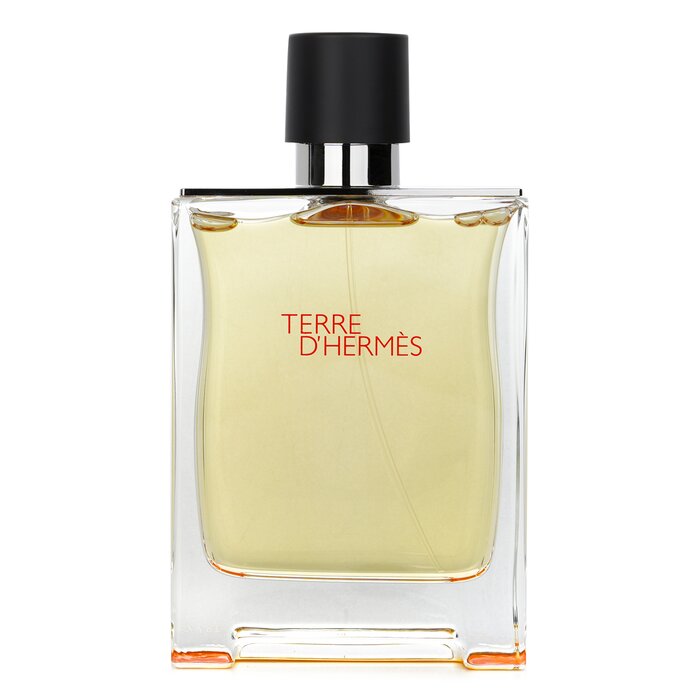 Terre d'Hermes Eau De Toilette Spray